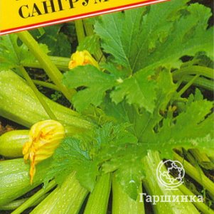 Кабачок Сангрум F1 5 шт Семена Престиж 89₽