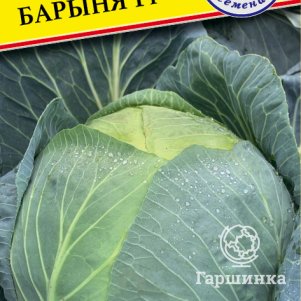

Капуста Барыня F1 белокочанная 10 шт, Семена Престиж