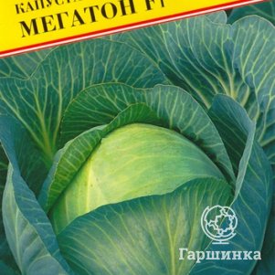 

Капуста Мегатон F1 белокочанная 10 шт, Семена Престиж