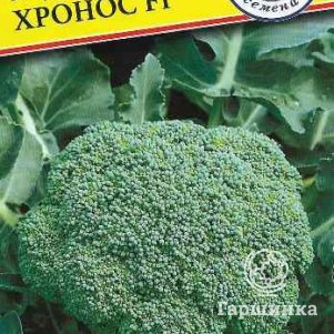 

Брокколи Хронос F1 10 шт, Семена Престиж