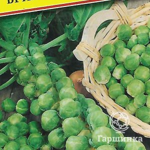 Брюссельская капуста Бриллиант F1 7 шт, Семена Престиж