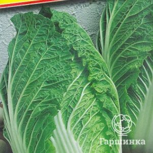 Пекинская капуста Кисеки F1 10 шт Семена Престиж 51₽