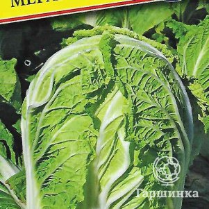 

Пекинская капуста Мегаполис F1 10 шт, Семена Престиж