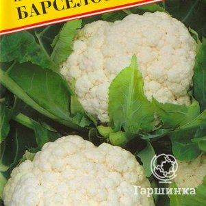 

Цветная капуста Барселона F1 10 шт, Семена Престиж