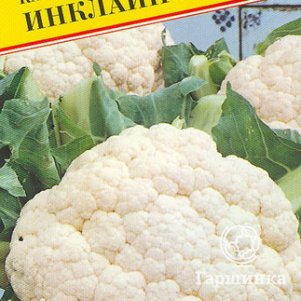 Цветная капуста Инклайн F1 10 шт Семена Престиж 72₽