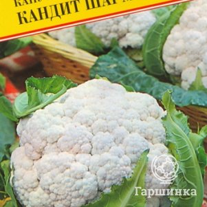 

Цветная капуста Кандид Шарм F1 10 шт, Семена Престиж