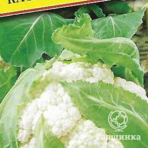 

Цветная капуста Каспер Р3 F1 10 шт, Семена Престиж