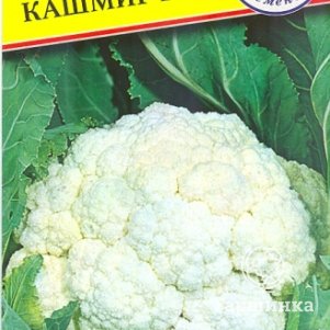 

Цветная капуста Кашмир F1 7 шт, Семена Престиж