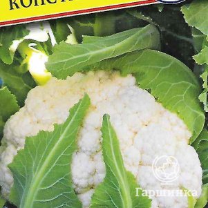 

Цветная капуста Константа F1 10 шт, Семена Престиж