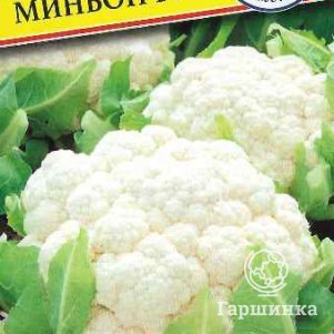 

Цветная капуста Миньон F1 10 шт, Семена Престиж