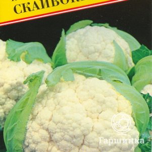 Цветная капуста Скайвокер F1 10 шт Семена Престиж 99₽
