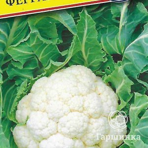

Цветная капуста Феррара F1 10 шт, Семена Престиж