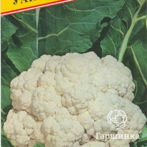 Цветная капуста Уайтэксел F1 10 шт, Семена Престиж