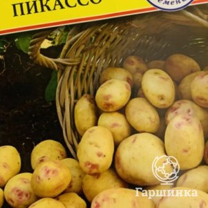 Картофель Пикассо 0,05 г, Семена Престиж