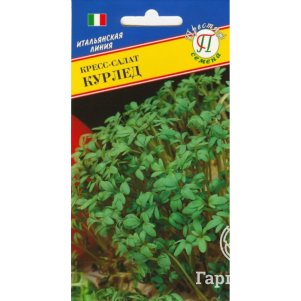 

Кресс-салат Курлед 0,5 г, Семена Престиж