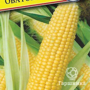 Кукуруза Оватонна F1 сладкая 10 шт Семена Престиж 51₽