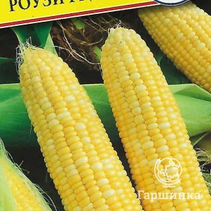 Кукуруза Роузи сладкая F1 биколор 10 шт Престиж 55₽