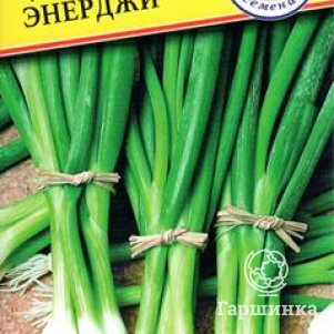 

Лук Батун Энерджи 0,5 г, Семена Престиж