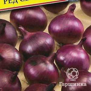 Лук Ред Свит F1 репчатый 0,5 г, Семена Престиж