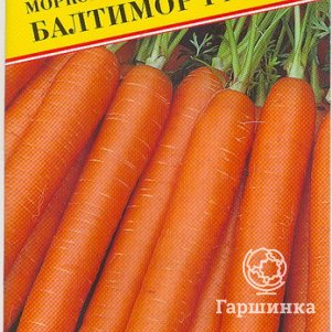 

Морковь Балтимор F1 0,5 г, Семена Престиж