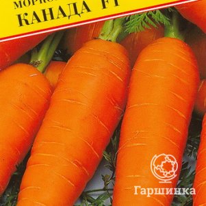 

Морковь Канада F1 0,5 г, Семена Престиж