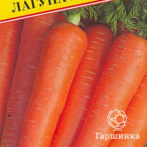 

Морковь Лагуна F1 0,5 г, Семена Престиж