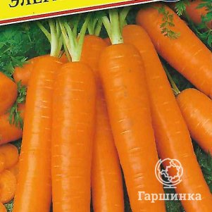

Морковь Элеганс F1 0,5 г, Семена Престиж
