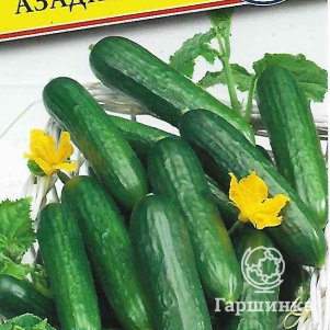 Огурец Азади F1 5 шт Семена Престиж 77₽