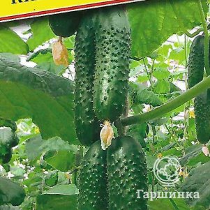 

Огурец Киборг F1 5 шт, Семена Престиж