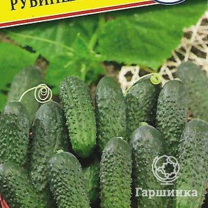 Огурец Рубинштейн F1 5 шт Семена Престиж 57₽