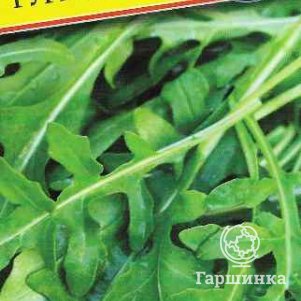 Руккола Индау Гурман дикая 05 г Семена Престиж 38₽