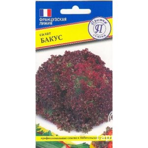 

Салат Бакус 5 шт, Семена Престиж