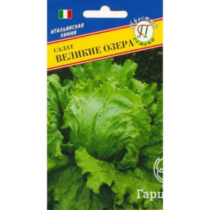 

Салат Великие озера 0,5 г, Семена Престиж