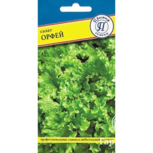 

Салат Орфей 0,5 г, Семена Престиж