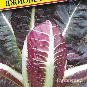 Салат Радиччио Джиове F1 цикорный 5 драже Семена Престиж 48₽