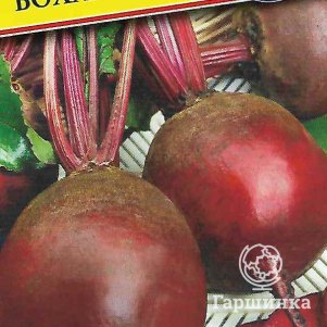 

Свекла Бохан F1 столовая 1 г, Семена Престиж