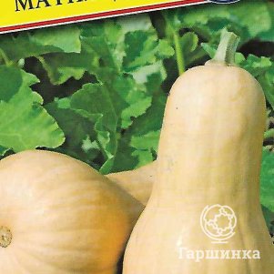 

Тыква Матильда F1 3 шт, Семена Престиж