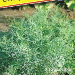 Укроп Стардаст 1 г Семена Престиж 18₽