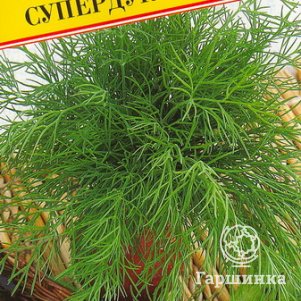 

Укроп Супердукат ОЕ 2 г, Семена Престиж