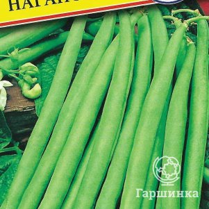 Фасоль Нагано овощная 5 г Семена Престиж 38₽