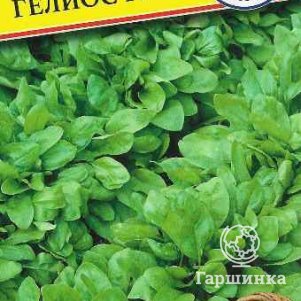 Шпинат Гелиос F1 1 г Семена Престиж 24₽