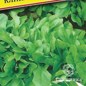 Шпинат Клиппер F1 1 г Семена Престиж 24₽