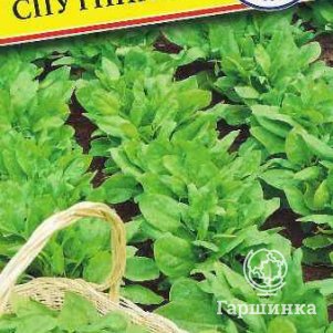 Шпинат Спутник F1 1 г Семена Престиж 24₽