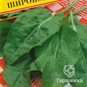 Щавель Широколистный 1 г Семена Престиж 25₽