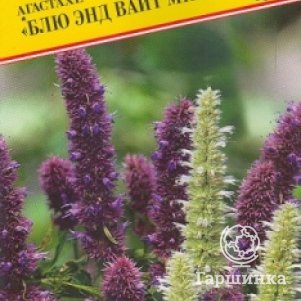 

Агастахе Блю энд Вайт микс 0,1 г, Семена Престиж