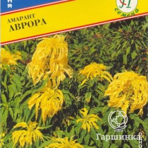 

Амарант Аврора 25 шт, Семена Престиж