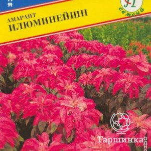 

Амарант Илюминейшн 25 шт, Семена Престиж