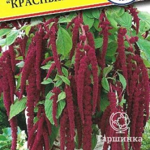 

Амарант Красный 0,1 г, Семена Престиж