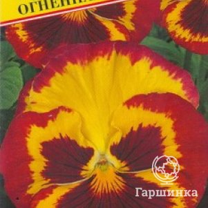 

Анютины глазки витторка Пауэ Огненная F1 10 шт, Семена Престиж