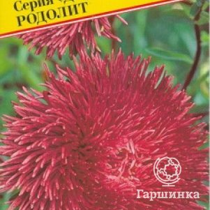 Астра Джуэл Родолит 0,3 г, Семена Престиж